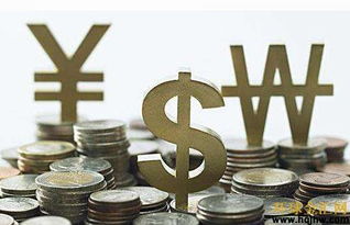 炒實盤與外匯咨詢 風險與機遇的博弈