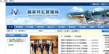 外匯管理局官方匯率查詢指南與專業咨詢建議