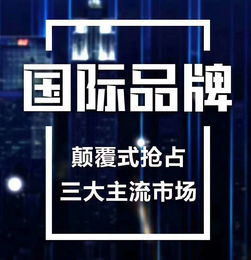 上海網(wǎng)絡(luò)推廣加盟 探索多元推廣方式，共筑科技服務(wù)新未來(lái)